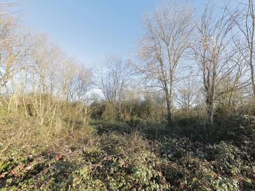 Terrain à vendre 14 404 € 15 113 m² de terrain Presles-en-Brie 77220