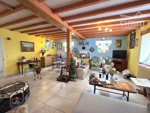 Maison en viager occupé Bouquet 53 600 € 5 pièces 2 chambres 158 m² 1 302 m² de terrain Mézières-en-Brenne 36290