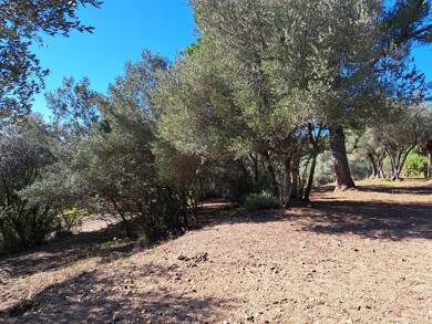 Terrain viabilisé à vendre 220 000 € 1 434 m² de terrain Fayence 83440