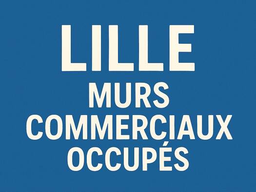 Boutique à vendre 795 000 € 5 pièces 145 m² de surface de vente Lille 59000