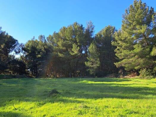 Terrain constructible à vendre 581 000 € 2 152 m² de terrain La Cadière-d'Azur 83740
