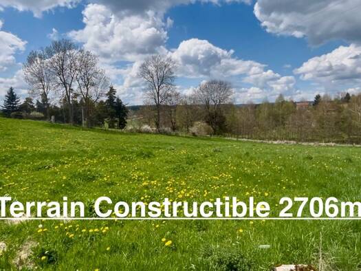 Terrain à vendre 29 000 € 2 706 m² de terrain Usson-en-Forez 42550
