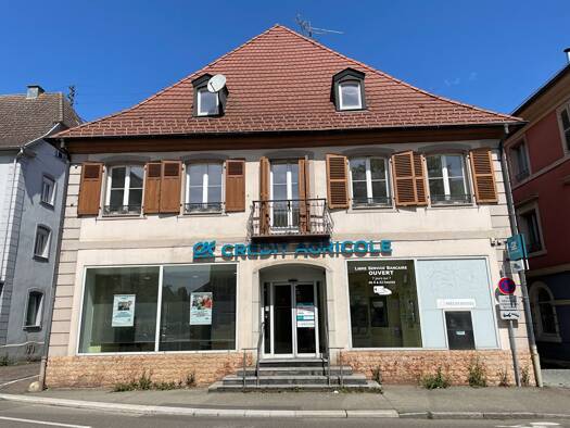 Local commercial à vendre 392 200 € 800 m² de surface de vente Dannemarie 68210