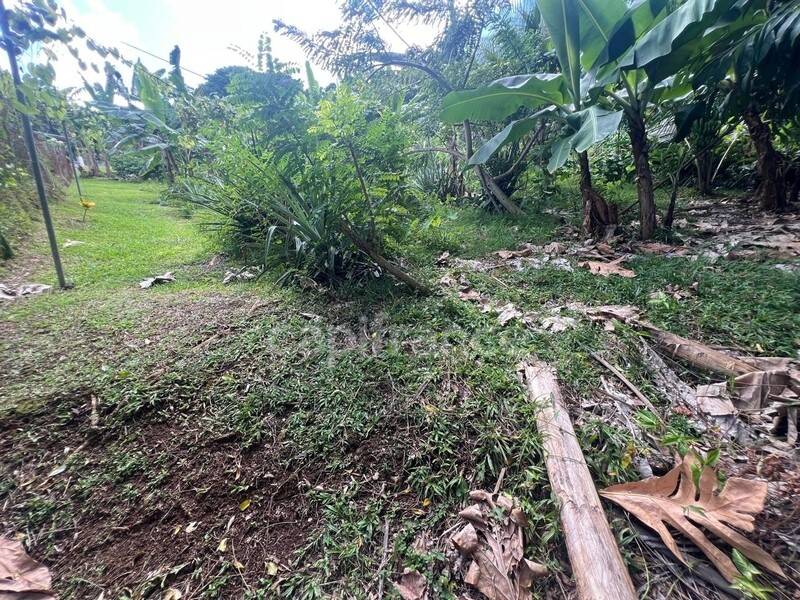 Maison à vendre, 36m², LE LAMENTIN