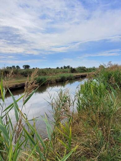 Terrain à vendre 8 500 € 10 314 m² de terrain Saint Bonnet sur Gironde 17150