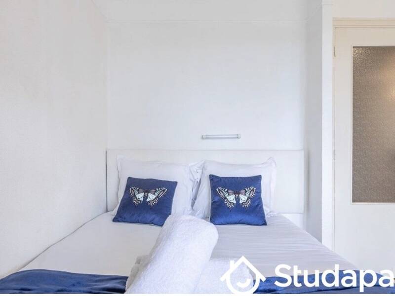 Maison à louer, 39m², CANNES