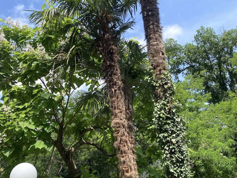 Maison à vendre, 405m², TOULOUSE