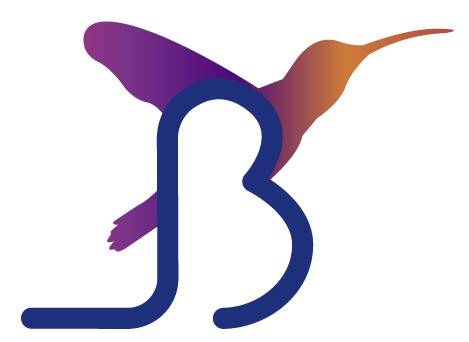 Beraux Immobilier