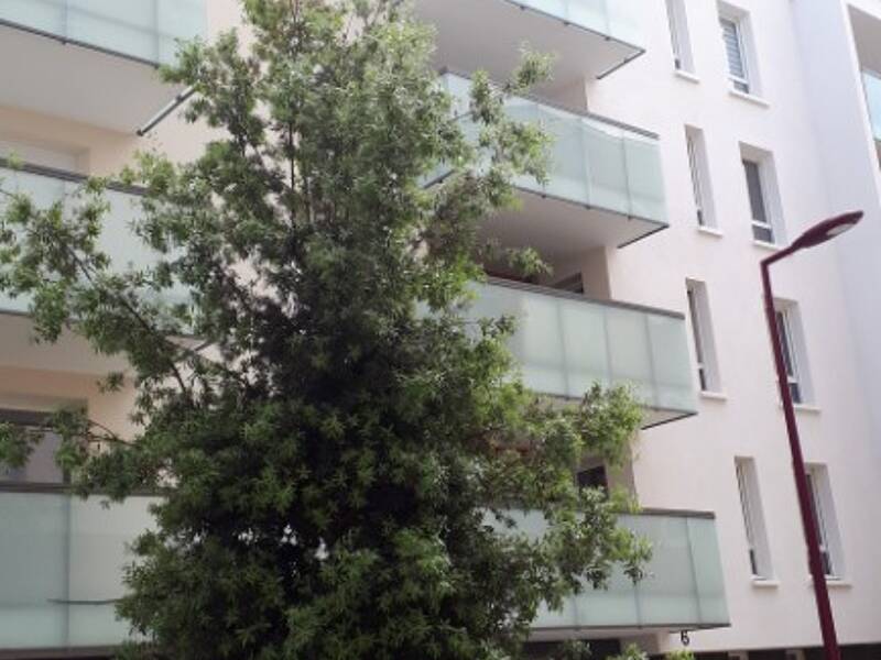 Maison à louer, 43m², BEZONS