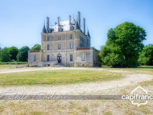 Château à vendre 1 148 000 € 16 pièces 10 chambres 843 m² 25 000 m² de terrain Chantonnay 85110