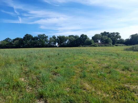 Terrain constructible à vendre 76 500 € 545 m² de terrain Pont-l'Évêque 14130