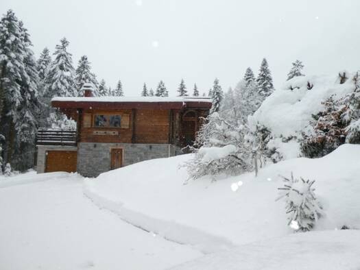 Chalet à vendre 520 000 € 7 pièces 4 chambres 160 m² 1 480 m² de terrain La Bresse 88250