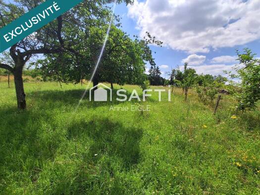 Propriété de loisirs à vendre 29 000 € 2 520 m² de terrain Thierville-sur-Meuse 55840