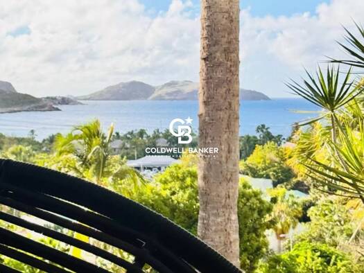 Appartement à vendre 2 150 000 € 3 pièces 2 chambres 113 m² 1er étage Saint-Barthélemy 97133