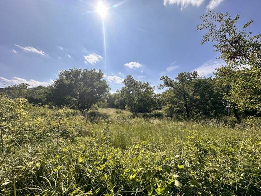 Terrain à vendre 180 200 € 3 644 m² de terrain Salazac 30760