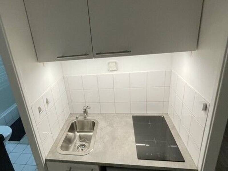 Maison à louer, 20m², LYON 7E