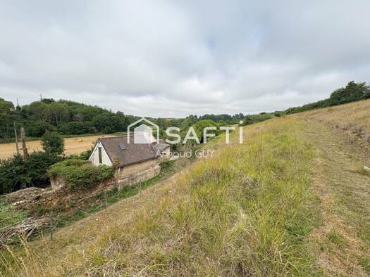 Maison à vendre 81 000 € 2 pièces 1 chambre 53 m² 10 840 m² de terrain Saint-Longis 72600
