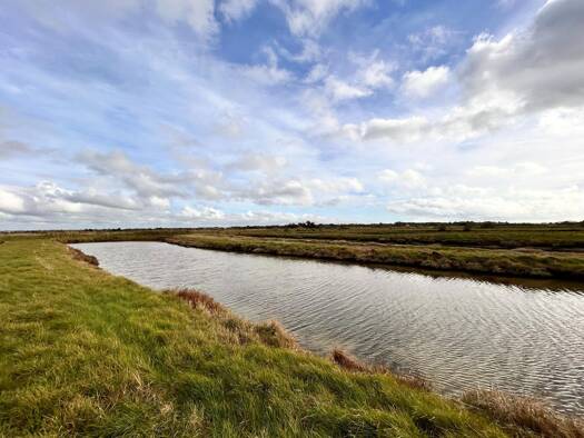 Terrain à vendre 18 000 € 8 530 m² de terrain Fradiniere-Pissot-Pege-Demoiselles Saint-Hilaire-de-Riez 85270
