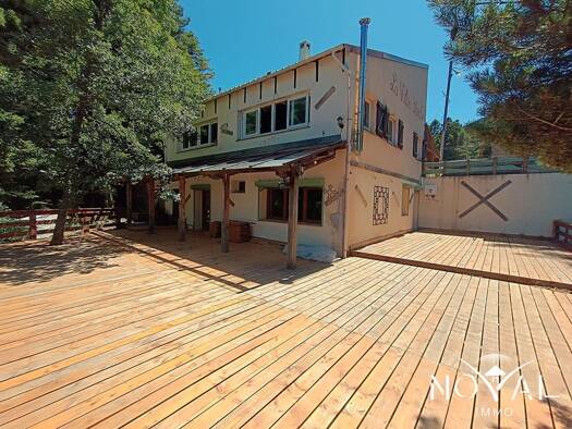 Maison à vendre 435 000 € 5 pièces 4 chambres 240 m² 1 137 m² de terrain Andon 06750