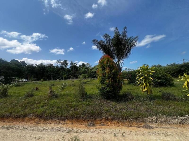 Maison à louer, 81m², KOUROU