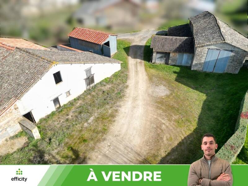 Maison à vendre, 245m², CELLE LEVESCAULT