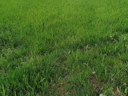 Terrain constructible viabilisé à vendre 59 000 € 343 m² de terrain Mellac 29300
