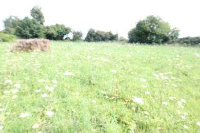 Terrain constructible à vendre 60 090 € 854 m² de terrain Nord Divion 62460