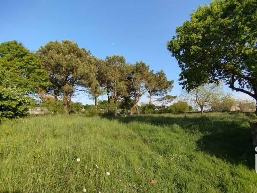 Terrain constructible à vendre 115 000 € 915 m² de terrain Plouezoc'H 29252