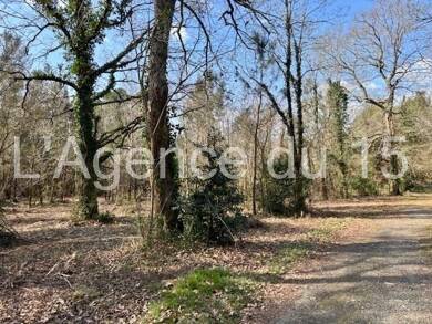 Terrain constructible à vendre 1 895 000 € 7 000 m² de terrain Seignosse 40510