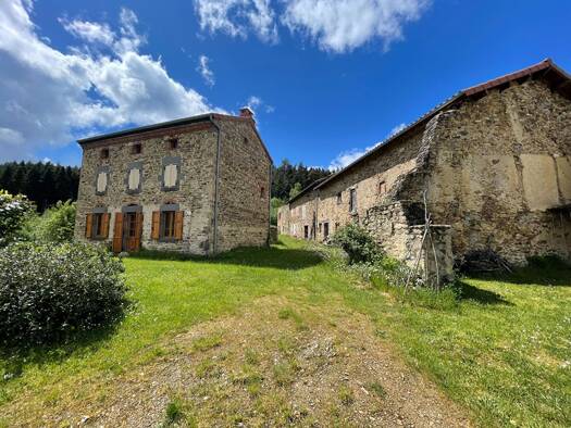 Maison à vendre 280 000 € 6 pièces 3 chambres 180 m² 3 690 m² de terrain Champagnac-le-Vieux 43440