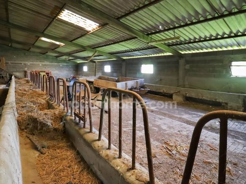 Maison à vendre, 350m², SAINT LEGER MAGNAZEIX