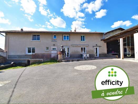 Maison à vendre 279 000 € 7 pièces 5 chambres 160 m² 1 215 m² de terrain Chazelles-sur-Lyon 42140