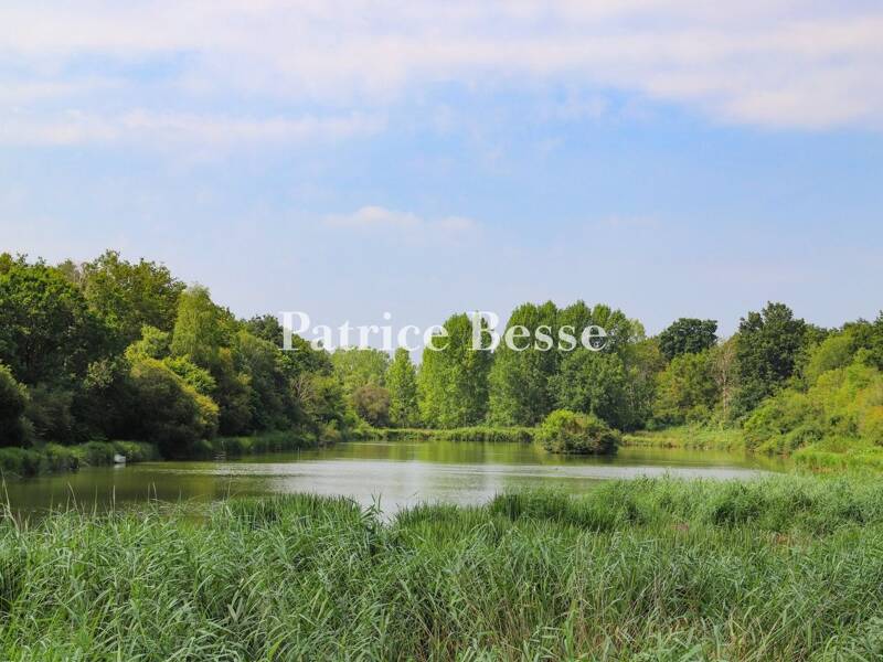 Maison à vendre, 620m², ANGERS