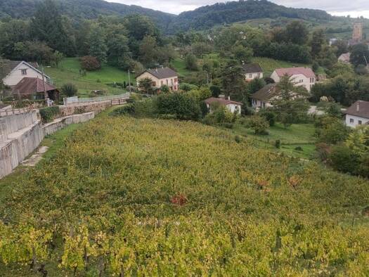 Terrain constructible à vendre 130 000 € 3 014 m² de terrain Arbois 39600