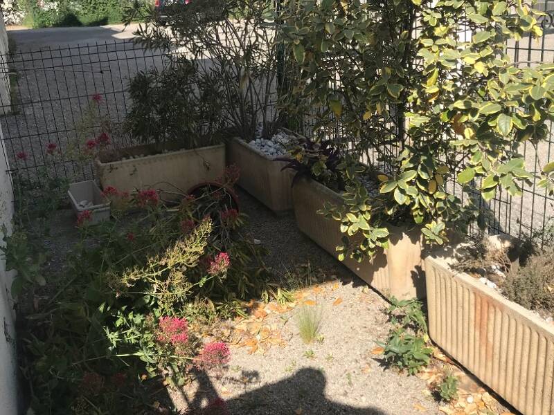 Maison à louer, 67m², ALTHEN DES PALUDS