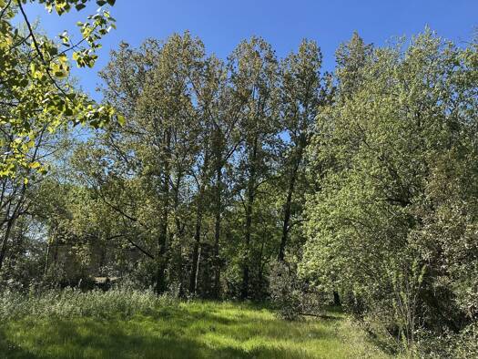 Terrain constructible à vendre 199 000 € 4 213 m² de terrain Saint-Hilaire-de-Riez 85270
