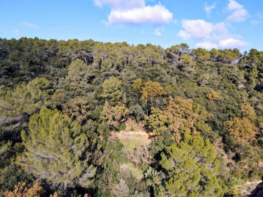 Terrain constructible à vendre 149 000 € 6 000 m² de terrain Serviers-et-Labaume 30700