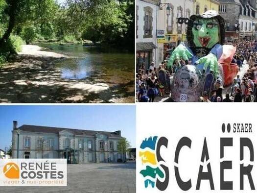 Maison en viager occupé Bouquet 232 291 € 7 pièces 5 chambres 175 m² 2 674 m² de terrain Sud Scaër 29390