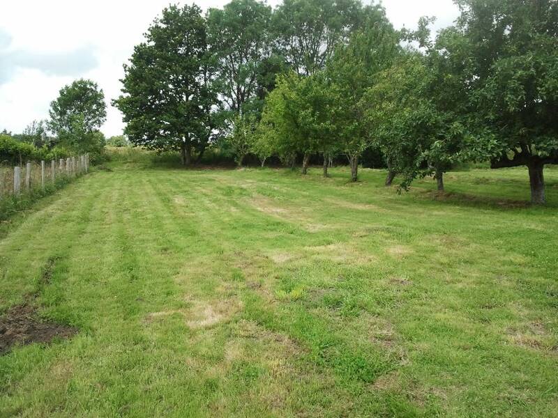 Maison à louer, 73m², SAINT VIAUD