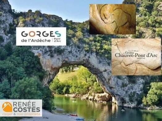 Maison en viager occupé Bouquet 236 160 € 6 pièces 4 chambres 184 m² 285 m² de terrain Ruoms 07120