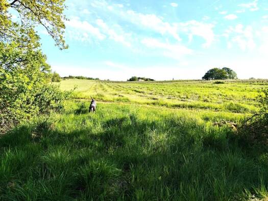 Terrain à vendre 3 500 € 4 325 m² de terrain Carnac-Rouffiac 46140
