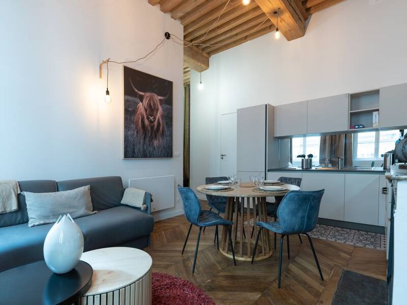 Maison à louer, 45m², LYON 1ER