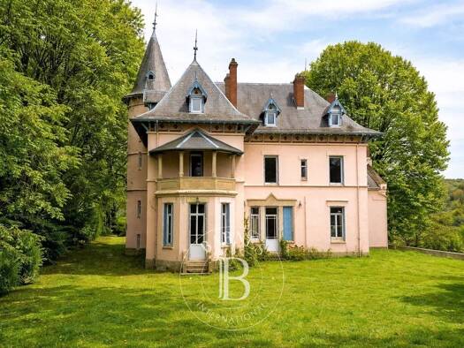 Château à vendre 965 000 € 10 pièces 5 chambres 450 m² Eyzin-Pinet 38780