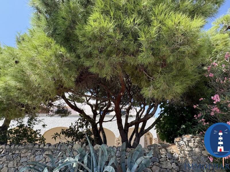 Maison à vendre, 300m², LA PALME