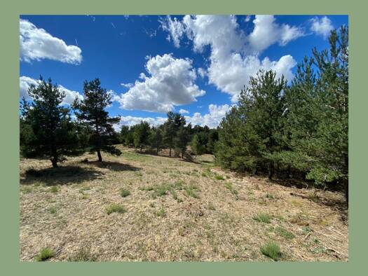 Terrain constructible viabilisé à vendre 51 000 € 1 218 m² de terrain dès le 31/08/2026 Peyre en Aubrac 48130