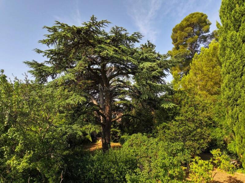 Maison à vendre, 700m², MONTPELLIER