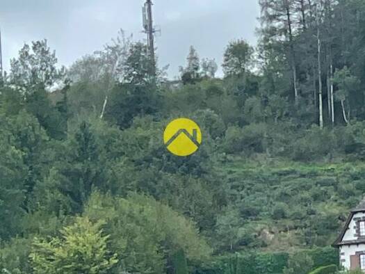 Terrain constructible viabilisé à vendre 11 500 € 1 327 m² de terrain Pierrefort 15230