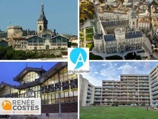 Appartement en viager occupé Bouquet 13 080 € 3 pièces 2 chambres 66 m² Étage 6/6 Basseau-Frégeneuil-Grande Garenne-Sillac Angoulême 16000