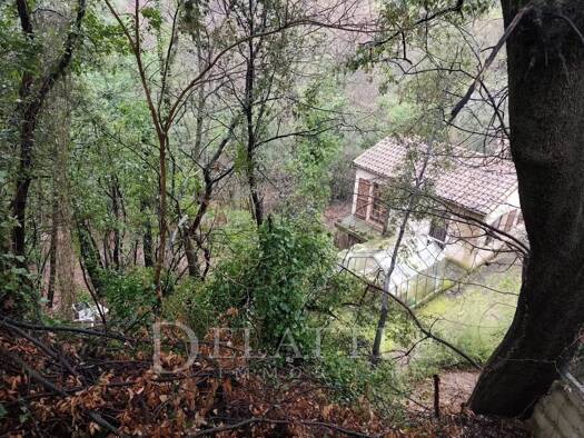 Maison à vendre 120 000 € 2 pièces 1 chambre 33 m² 3 500 m² de terrain Magagnosc Grasse 06520