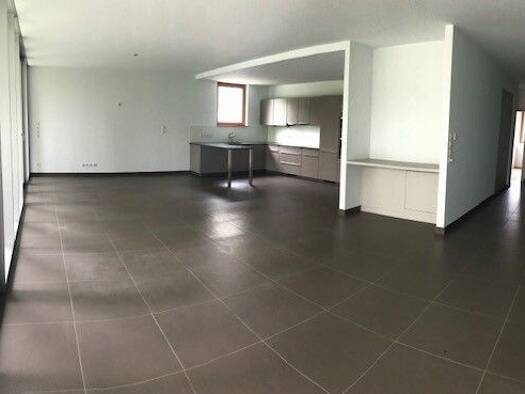 Appartement à louer 2 080 € 5 pièces 3 chambres 126 m² RDC/3 Hagenthal-le-Bas 68220